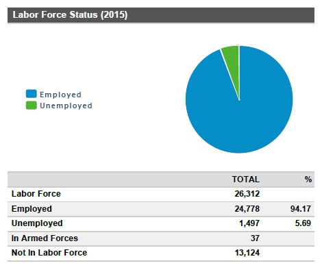 Labor Force Status